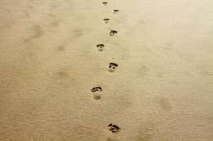 footprint-1021452_640